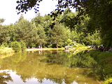 Chotýšský rybník